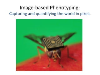 Image-based Phenotyping:
Capturing and quantifying the world in pixels
 