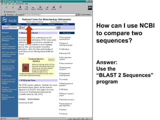 How can I use NCBI
to compare two
sequences?
Answer:
Use the
“BLAST 2 Sequences”
program
 