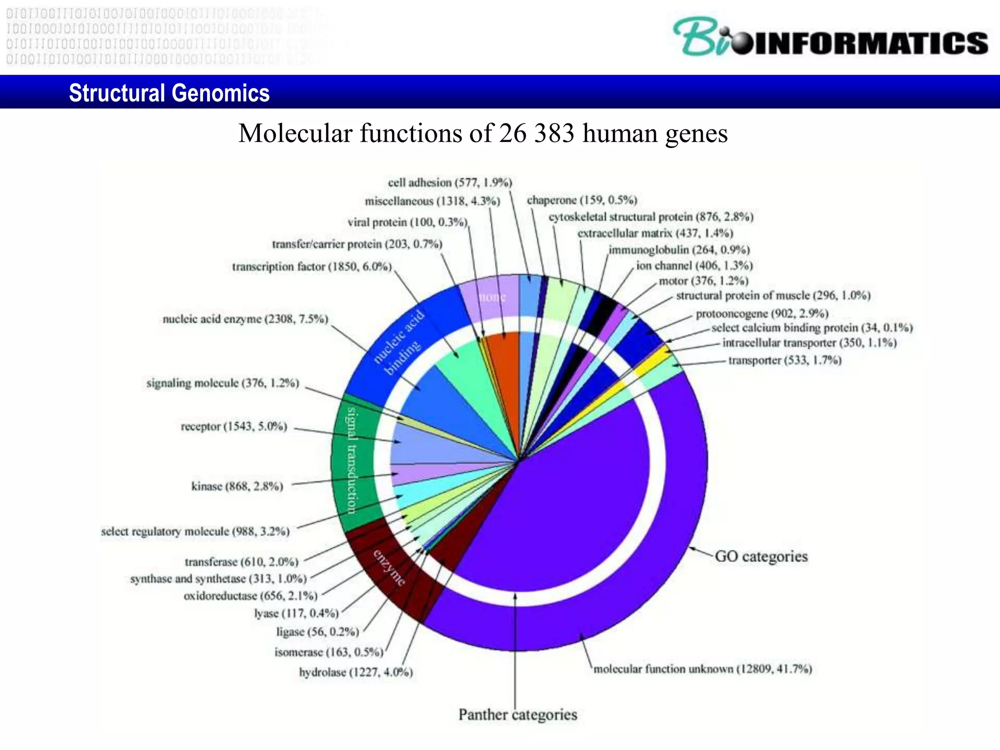 Molecular functions of 26 383 human genes
Structural Genomics
 