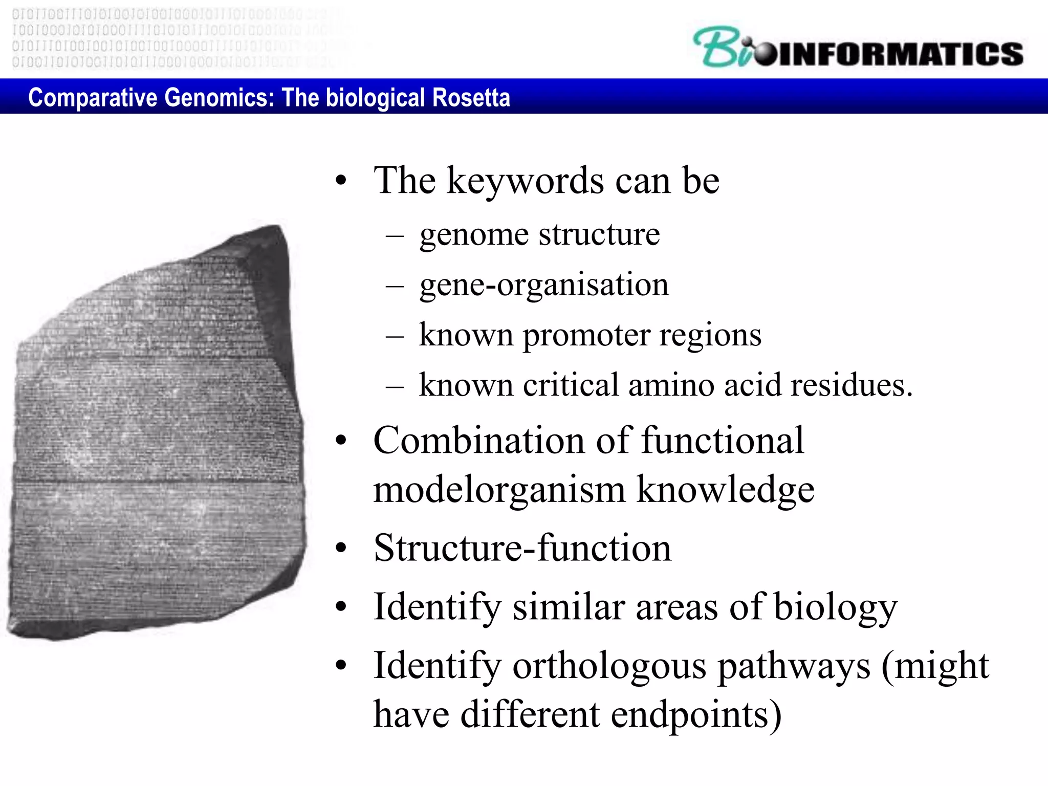 • The keywords can be
– genome structure
– gene-organisation
– known promoter regions
– known critical amino acid residues.
• Combination of functional
modelorganism knowledge
• Structure-function
• Identify similar areas of biology
• Identify orthologous pathways (might
have different endpoints)
Comparative Genomics: The biological Rosetta
 