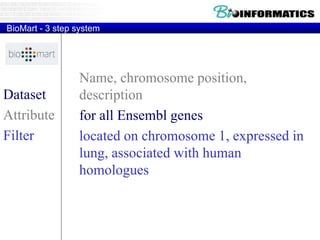 BioMart - 3 step system
Name, chromosome position,
description
for all Ensembl genes
located on chromosome 1, expressed in
lung, associated with human
homologues
Dataset
Attribute
Filter
 