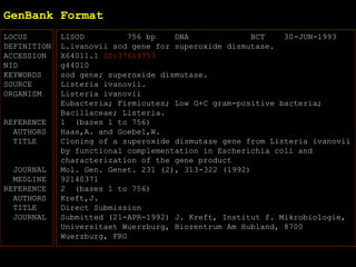 GenBank Format
LOCUS LISOD 756 bp DNA BCT 30-JUN-1993
DEFINITION L.ivanovii sod gene for superoxide dismutase.
ACCESSION X64011.1 GI:37619753
NID g44010
KEYWORDS sod gene; superoxide dismutase.
SOURCE Listeria ivanovii.
ORGANISM Listeria ivanovii
Eubacteria; Firmicutes; Low G+C gram-positive bacteria;
Bacillaceae; Listeria.
REFERENCE 1 (bases 1 to 756)
AUTHORS Haas,A. and Goebel,W.
TITLE Cloning of a superoxide dismutase gene from Listeria ivanovii
by functional complementation in Escherichia coli and
characterization of the gene product
JOURNAL Mol. Gen. Genet. 231 (2), 313-322 (1992)
MEDLINE 92140371
REFERENCE 2 (bases 1 to 756)
AUTHORS Kreft,J.
TITLE Direct Submission
JOURNAL Submitted (21-APR-1992) J. Kreft, Institut f. Mikrobiologie,
Universitaet Wuerzburg, Biozentrum Am Hubland, 8700
Wuerzburg, FRG
 
