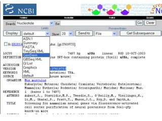 Other Genbank Formats
• ASN1
– Computer friendly, human unfriendly
• FASTA
– Brief, loses information
– Easy to use
– Compatible with multiple sequences
 