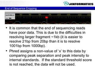 End of Sequence Cropping
• It is common that the end of sequencing reads
have poor data. This is due to the difficulties in
resolving larger fragment ~1kb (it is easier to
resolve 21bp from 20bp than it is to resolve
1001bp from 1000bp).
• Phred assigns a non-value of ‘x’ to this data by
comparing peak separation and peak intensity to
internal standards. If the standard threshold score
is not reached, the data will not be used.
 