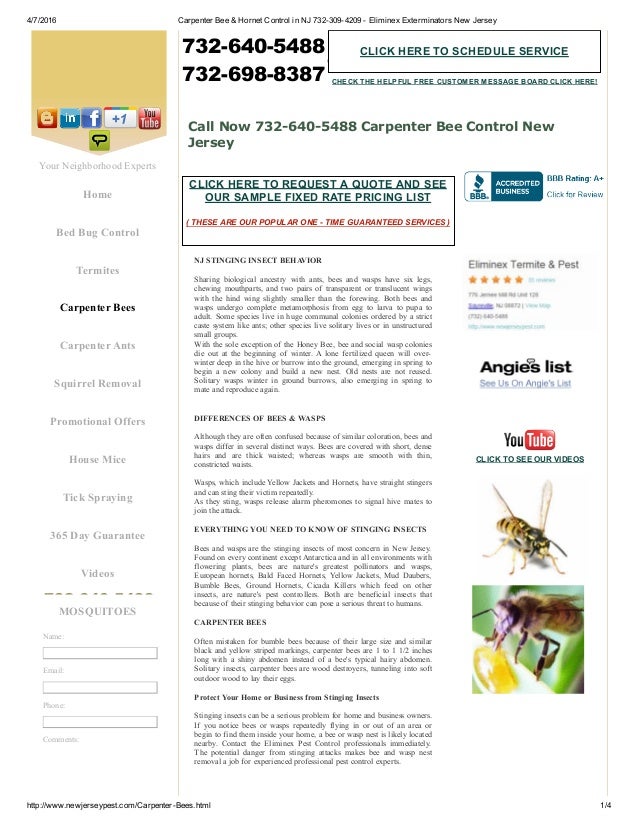 Carpenter Bee Treatment NJ 7322843807 Middlesex County