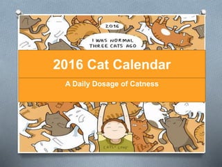 2016 Cat Calendar
A Daily Dosage of Catness
 
