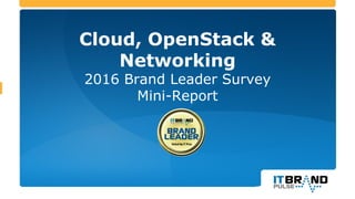 Cloud, OpenStack &
Networking
2016 Brand Leader Survey
Mini-Report
 