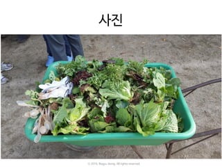 사진
ⓒ 2016. Bogyu Jeong. All rights reserved.
 