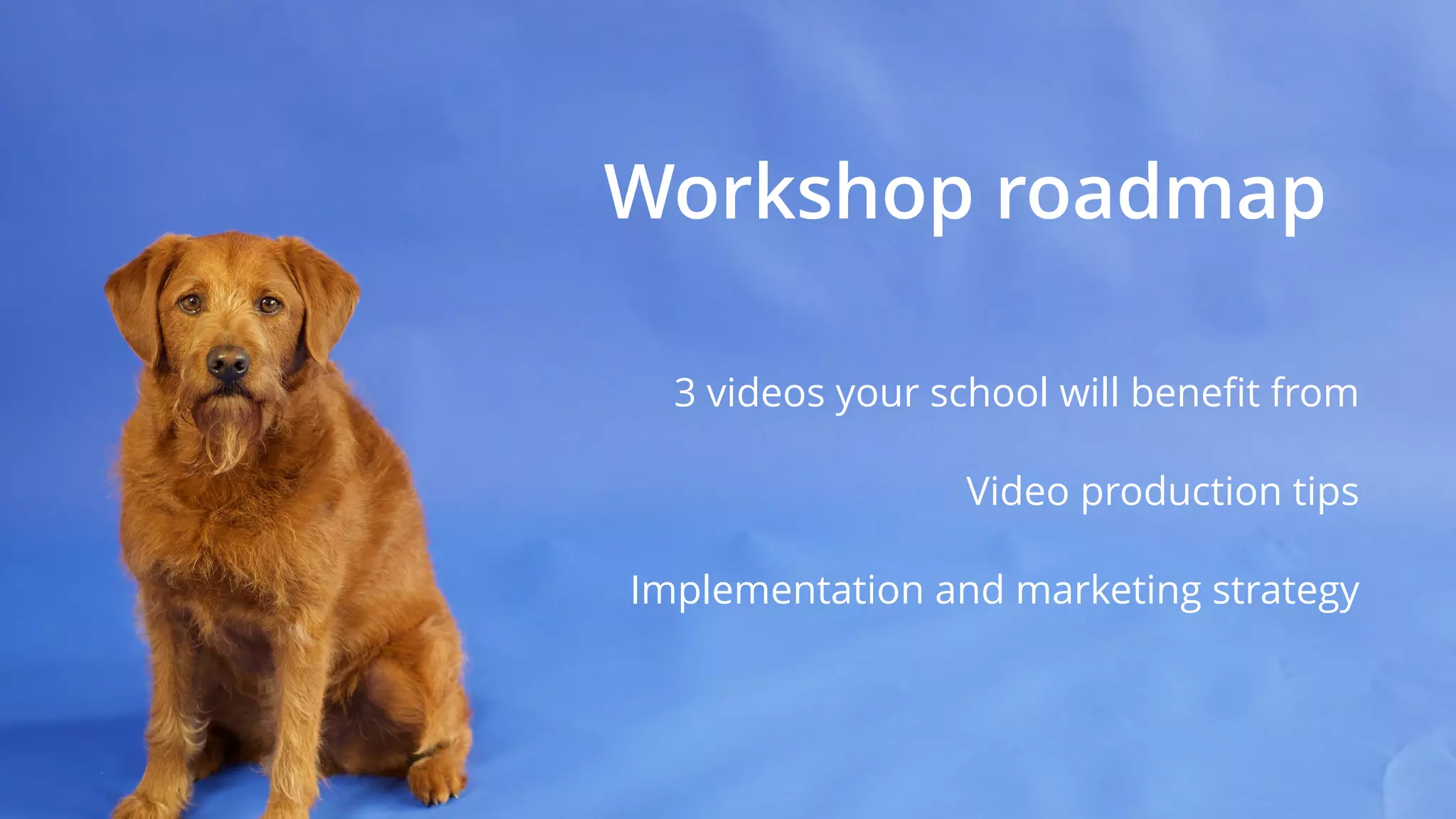 Workshop roadmap
3 videos your school will beneﬁt from
Video production tips
Implementation and marketing strategy
 