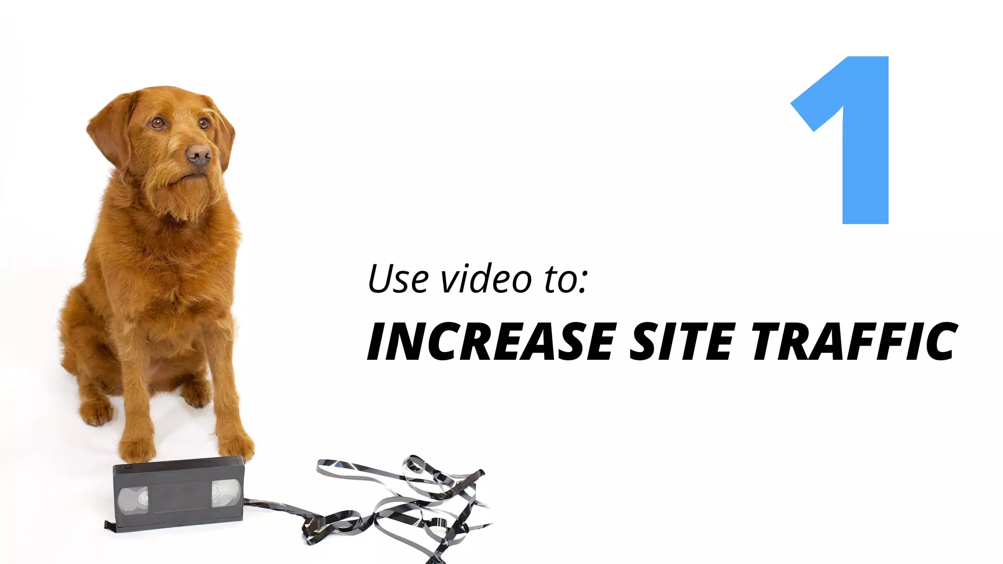 Use video to:
INCREASE SITE TRAFFIC
1
 