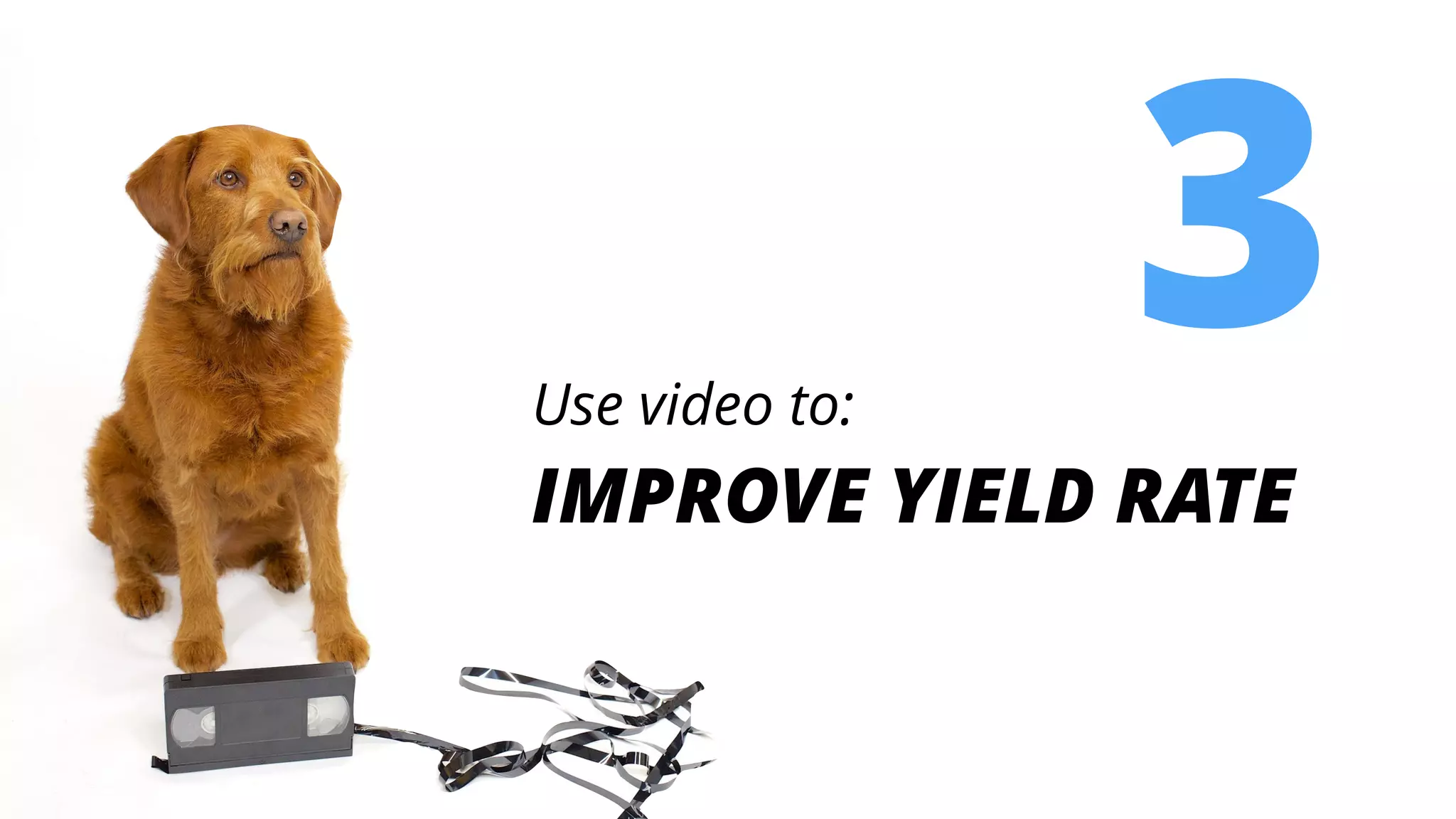 3Use video to:
IMPROVE YIELD RATE
 
