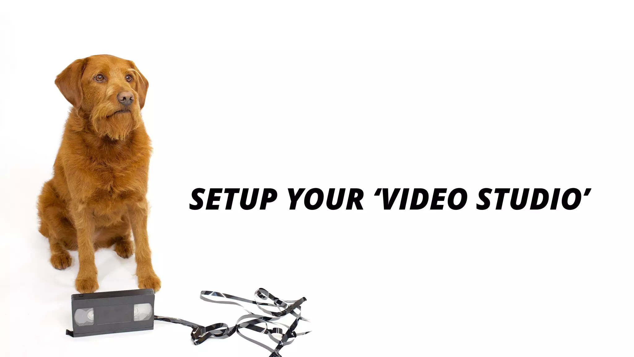 SETUP YOUR ‘VIDEO STUDIO’
 