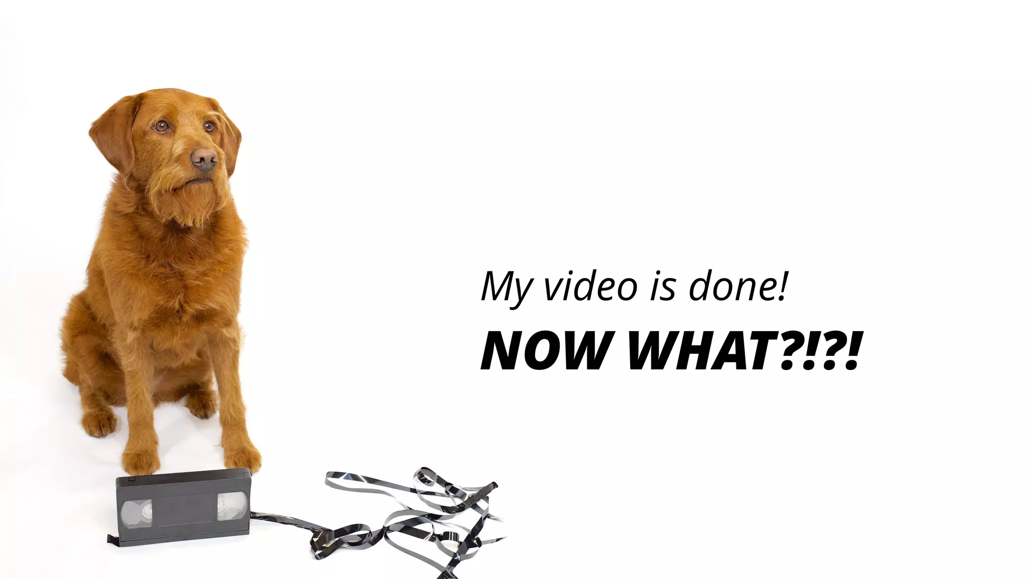 My video is done!
NOW WHAT?!?!
 