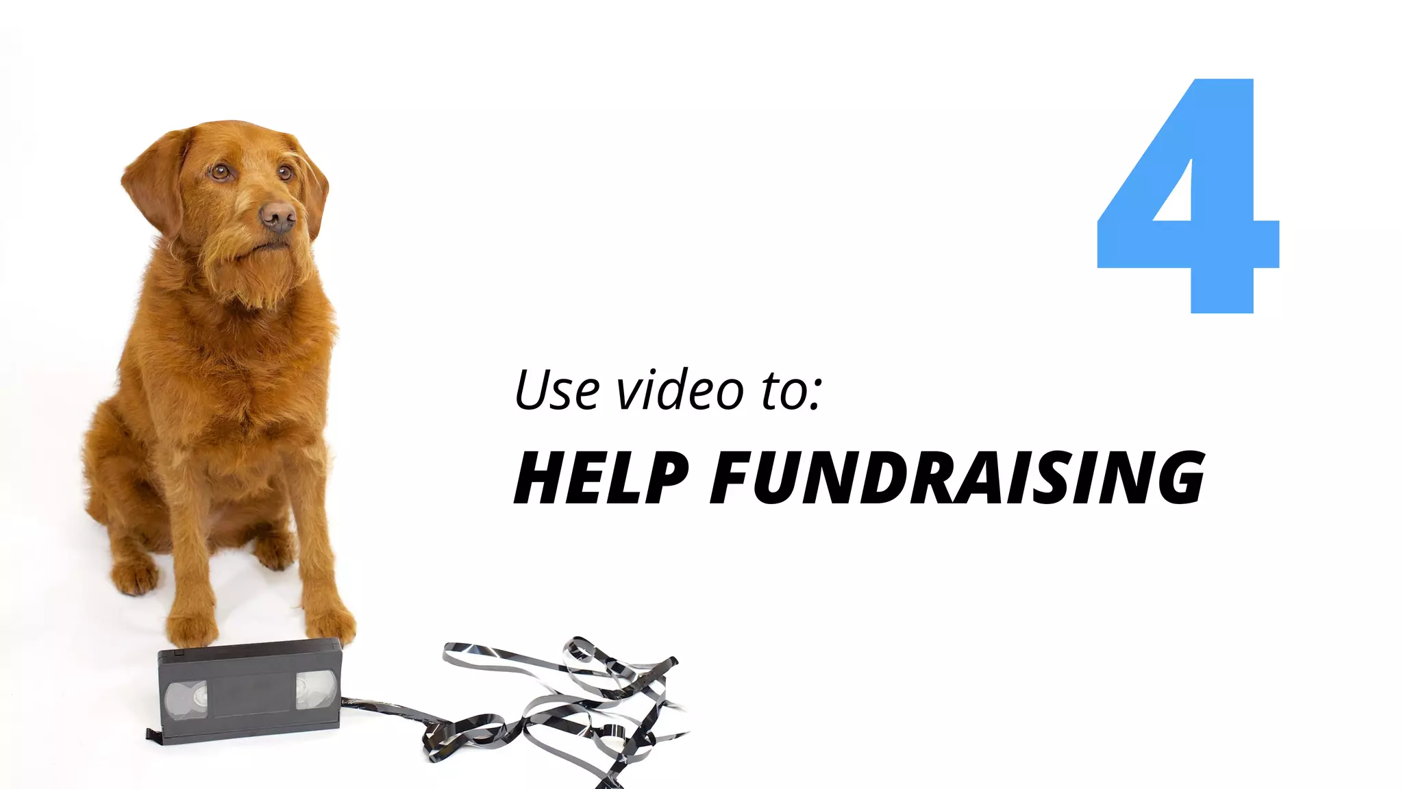 4Use video to:
HELP FUNDRAISING
 