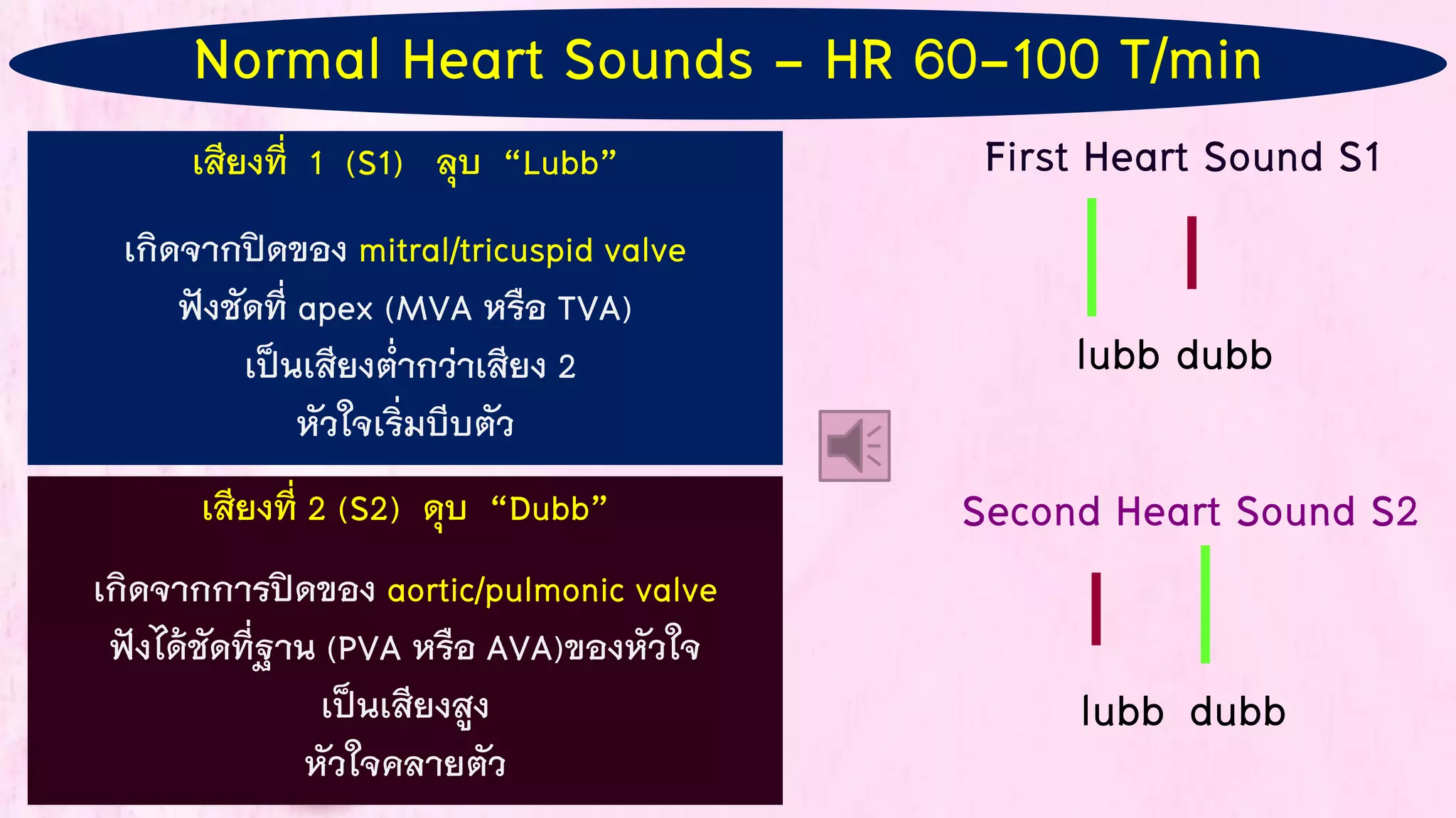 First Heart Sound S1
Second Heart Sound S2
เสียงที่ 1 (S1) ลุบ “Lubb”
เกิดจากปิดของ mitral/tricuspid valve
ฟังชัดที่ apex (MVA หรือ TVA)
เป็นเสียงต่ากว่าเสียง 2
หัวใจเริ่มบีบตัว
เสียงที่ 2 (S2) ดุบ “Dubb”
เกิดจากการปิดของ aortic/pulmonic valve
ฟังได้ชัดที่ฐาน (PVA หรือ AVA)ของหัวใจ
เป็นเสียงสูง
หัวใจคลายตัว
lubb dubb
lubb dubb
Normal Heart Sounds - HR 60-100 T/min
 