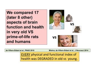 EVERY physical and functional index of
health was DEGRADED in old vs young.
vs
We compared 17
(later 8 other)
aspects of b...