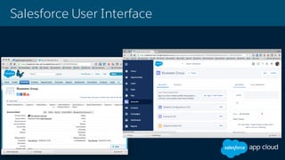 Salesforce User Interface
 