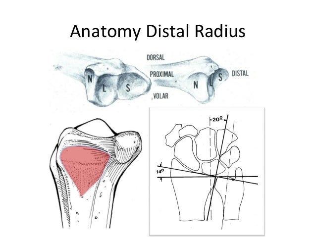 Οξεία Αστάθεια της Άπω Κερκιδωλενικής 016/ Acute DRUJ Instability 016