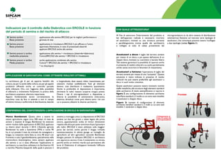 La sarchiatura, già di per sé, apporta benefici alla
coltura,sia per la sanità della coltura,sia per gli aspetti
produttivi offrendo anche un controllo parziale
delle infestanti. Ora, con l’aggiunta della possibilità
di abbinarla a trattamenti fitosanitari, la pratica della
sarchiatura acquisisce ulteriore importanza.
Appare fondamentale tarare correttamente le
macchine, cosa da fare in azienda e non in campo
all’ultimo minuto.L’uniformità di distribuzione,laterale
e longitudinale, deve essere infatti massimizzata per
ottenere risultati soddisfacenti. Tutti gli elementi
devono cioè distribuire il medesimo quantitativo.
Anche la profondità di deposizione è importante,
altrimenti le radici restano scoperte troppo presto.
Diversi i tipi di microgranulatori a dispozione e
diverse le possibilità di azionamento (meccanica,
elettrica, idraulica) come pure diversi sono i kit con
cui si possono allestire le diverse sarchiatrici.
Al fine di assicurare l’interramento del prodotto ai
lati dell’apparato radicale è necessario ricorrere
ad assolcatori, montati su una struttura portante
a parallelogramma (come quelle dei sarchiatori),
e collegati al tubo di calata proveniente dal
microgranulatore (o da altro sistema di distribuzione
volumetrica). Esistono sul mercato varie tipologie di
assolcatori, che comunque possono essere ricollegati
a due tipologie (vedasi figura 1):
Assolcatori a disco: il taglio del terreno avviene
per mezzo di un disco, o più spesso dall’azione di un
doppio disco, montato su cuscinetto e lasciato libero.
Tale sistema garantisce la possibilità di operare anche
in presenza di residui colturali e su suolo parzialmente
umido senza incorrere in fenomeni di intasamento.
Assolcatori a falcione: l’operazione di taglio del
terreno avviene per mezzo di una“scarpetta”.Questa
soluzione è meno indicata in presenza di residui
colturali ma può essere preferibile agli assolcatori a
disco in suoli molto ciottolosi.
Questi assolcatori possono essere montanti, tramite
staffe metalliche,alle strutture degli elementi standard
delle sarchiatrici.A titolo esemplificativo si riporta in
figura 2 una configurazione di elemento sarchiante
interfilare standard a 3 molle su cui sono stati installati
2 assolcatori a doppio disco.
Figura 2: esempio di configurazione di elemento
sarchiante interfilare standard a 3 molle su cui sono stati
installati 2 assolcatori a doppio disco
Marco Bombonati. Questi, oltre a essere lui
stesso agricoltore, segue circa 300 ettari di mais da
avviare a impianti di biogas. Bombonati ha ottenuto
ottimi risultati dalle applicazioni di Ercole,applicato
su diversi ettari durante il 2014. L’Azienda agricola
Bombonati ha sede a Sustinente (MN) e conta 90
ha, in cui prevale il mais da trinciato da consegnare a
biogas. La rotazione viene fatta su circa 40 ettari con
frumento e soia.Il geodisinfestante,specialmente nella
monocoltura bioenergetica, viene sempre applicato
alla semina a cui è stata affiancata l’applicazione in
sarchiatura. La macchina utilizzata è la Sarchiatrice HS
a marchio Maschio-Gaspardo della quale è piaciuto il
sistema a tramoggia unica. La deposizione di Ercole
avviene sui due lati, grazie a calate legate alla prima
ancora, appositamente scelta di minori dimensioni
rispetto alle altre per poter avvicinare di più il granulare
alle radici. Ercole è stato utilizzato sulla maggior
parte dei terreni, anche perché il biogas richiede
monosuccessione. In ultimo giunge un consiglio da
agricoltore ad altri agricoltori: secondo Bombonati
bisogna pensare di utilizzare Ercole in sarchiatura
con approccio tecnico. Cioè, il trattamento va mirato,
perché anche un minimo ritardo può permettere alle
larve di Diabrotica di svilupparsi limitando l’efficacia
del prodotto.
Indicazioni per il controllo della Diabrotica con ERCOLE in funzione
del periodo di semina e del rischio di attacco
1
Semine tardive	 applicazione alla semina ERCOLE per le migliori performance e
Bassa pressione	 garanzia di resa
Semine precoci	 applicazione in rincalzatura Ercole il più efficace e l’unico
Bassa pressione	 approvato.Attenzione, in caso di presenzadi elateridi
	applicare Ercole anche alla semina
Semine precoci e tardive	 applicazione alla semina + rincalzatura (elateride+diabrotica)
medio/alta pressione	 Concia/Ercole alla semina + Ercole in rincalzatura
Semine precoci e tardive	 anche applicazione combinata alla semina
Media pressione	 Concia*+ Ercole alla semina + Ercole in rincalzatura
	 * no thiacloprid
Applicazione in sarchiatura: come ottenere risultati ottimali
Con quale attrezzatura?
L’esperienza del contoterzista: l’applicazione di ERCOLE in sarchiatura
Frontale
Retro
Collegamento al
tubo di calata del
microgranulatore
Assolcatore a
doppio disco
2
 