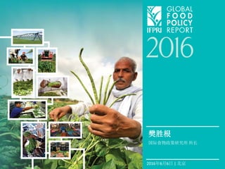 2016年6月6日 | 北京
樊胜根
国际食物政策研究所 所长
 