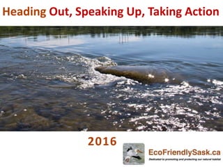Heading Out, Speaking Up, Taking Action
2016
 