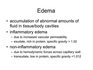 Edema
• accumulation of abnormal amounts of
fluid in tissue/body cavities
• inflammatory edema
– due to increased vascular permeability
– exudate, rich in protein, specific gravity > 1.02
• non-inflammatory edema
– due to hemodynamic forces across capillary wall
– transudate, low in protein, specific gravity <1.012
 