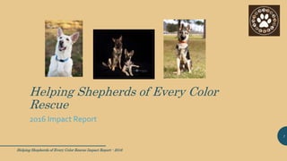 Helping Shepherds of Every Color
Rescue
2016 Impact Report
Helping Shepherds of Every Color Rescue Impact Report - 2016
1
 
