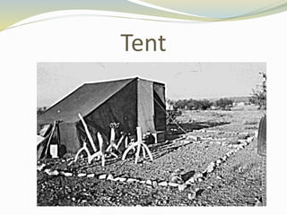 Tent
 