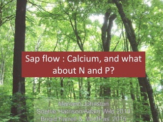 Sap flow : Calcium, and what
about N and P?
 