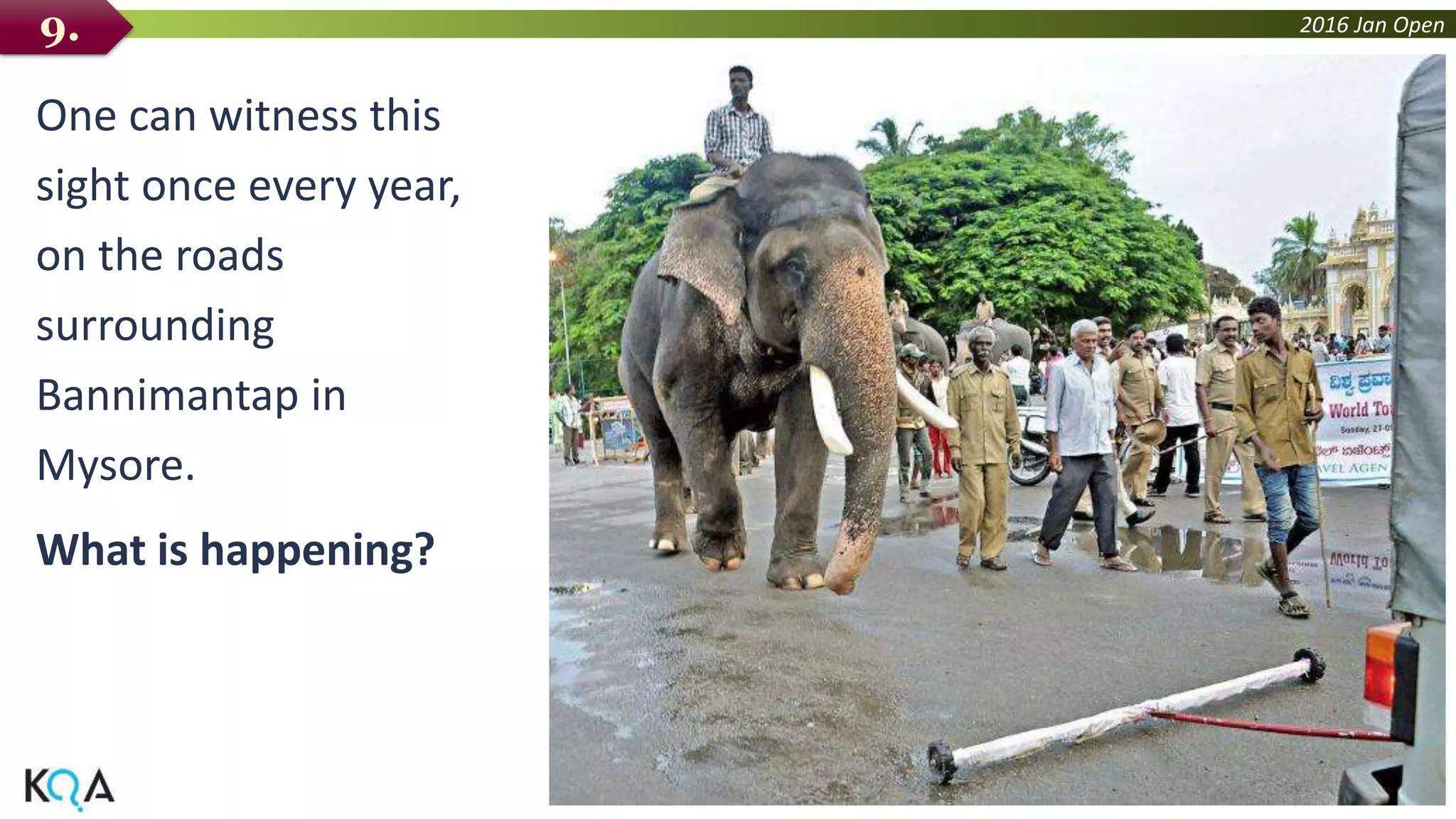 2016 Jan Open
One can witness this
sight once every year,
on the roads
surrounding
Bannimantap in
Mysore.
What is happening?
9.
 