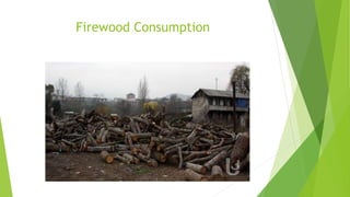 Firewood Consumption
 
