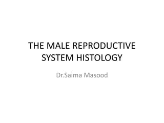THE MALE REPRODUCTIVE
SYSTEM HISTOLOGY
Dr.Saima Masood
 