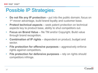 Ip Strategy Example Intellectual Property Strategies | PPTX