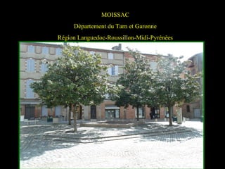 MOISSAC
Département du Tarn et Garonne
Région Languedoc-Roussillon-Midi-Pyrénées
 