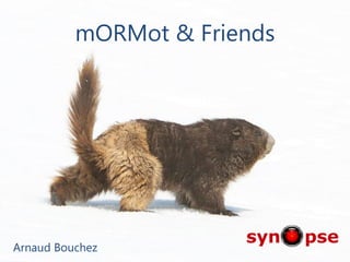 mORMot & Friends
Arnaud Bouchez
 