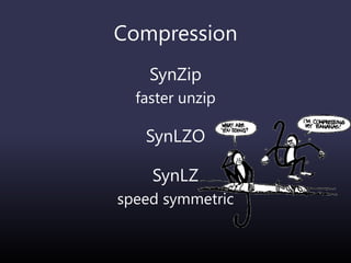 Compression
SynZip
faster unzip
SynLZO
SynLZ
speed symmetric
 