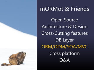 mORMot & Friends
Open Source
Architecture & Design
Cross-Cutting features
DB Layer
ORM/ODM/SOA/MVC
Cross platform
Q&A
 