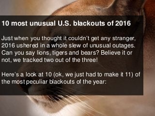 10 most unusual U.S. blackouts of 2016
Just when you thought it couldn’t get any stranger,
2016 ushered in a whole slew of unusual outages.
Can you say lions, tigers and bears? Believe it or
not, we tracked two out of the three!
Here’s a look at 10 (ok, we just had to make it 11) of
the most peculiar blackouts of the year:
 