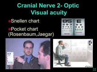 22
Cranial Nerve 2- Optic
Visual acuity
Snellen chart
Pocket chart
(Rosenbaum,Jaegar)
 
