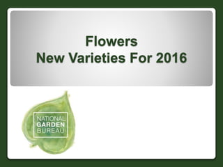 Flowers
New Varieties For 2016
 