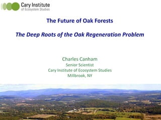 The Future of Oak Forests
The Deep Roots of the Oak Regeneration Problem
Charles Canham
Senior Scientist
Cary Institute of Ecosystem Studies
Millbrook, NY
 