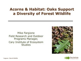 Acorns & Habitat: Oaks Support
a Diversity of Forest Wildlife
Mike Fargione
Field Research and Outdoor
Programs Manager,
Cary Institute of Ecosystem
Studies
Fargione	
  -­‐	
  Oaks	
  &	
  Wildlife	
  
 