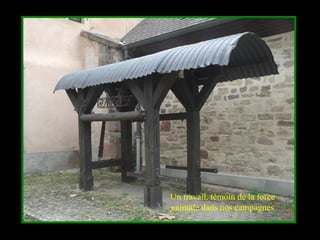 Un travail, témoin de la force
animale dans nos campagnes
 