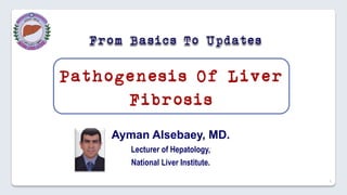 1
Ayman Alsebaey, MD.
Lecturer of Hepatology,
National Liver Institute.
 