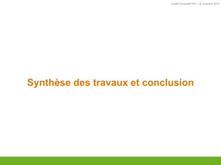 Comité Consultatif PEI – 18 novembre 2016
Synthèse des travaux et conclusion