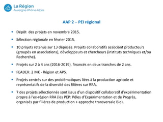 AAP 2 – PEI régional
Dépôt des projets en novembre 2015.
Sélection régionale en février 2015.
10 projets retenus sur 13 déposés. Projets collaboratifs associant producteurs
(groupés en associations), développeurs et chercheurs (instituts techniques et/ou
Recherche).
Projets sur 2 à 4 ans (2016-2019), financés en deux tranches de 2 ans.
FEADER: 2 M€ - Région et APS.
Projets centrés sur des problématiques liées à la production agricole et
représentatifs de la diversité des filières sur RRA.
7 des projets sélectionnés sont issus d’un dispositif collaboratif d’expérimentation
propre à l’ex-région RRA (les PEP: Pôles d’Expérimentation et de Progrès,
organisés par filières de production + approche transversale Bio).