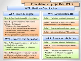 Comité Consultatif PEI – 18 novembre 2016
Présentation du projet INNOVEG
WP2 : Santé du Végétal WP3 : Amélioration ITK
Tâche 1 : Suivi épidémio des BA et inventaire
Tâche 2: Expérimentation de méthodes de
lutte agro-écologiques
* Mouches des Cucurbitacées/filet
* Mouche de la tomate/filet + syneis-appat
* Flétrissement bactérien / PdS + variétés
* Nématodes à galles / PdS,
* Cercosporiose laitue, corynersporiose conc.
Tâche 3 : Evaluation variétale (maraîchage)
Tâche 4 : Diagnostic facteurs performances
rendement manioc (feuilles et racines)
WP1 : Gestion - Coordination
WP5 : Formation - Diffusion
Tâche 9 : Evaluation adoption ITK innovants
Tâche 10 : Production de plants (bananes PIF,
agrumes CAC)
Tâche 7 : Mise au point process de fabrication
semi-industriel de mataba
* Enquêtes consommateurs et culinaires
* Expérimentations
Tâche 8 : Mise au point nouveaux process de
conditionnement et conservation : nectars,
pates de fruits et fruits secs, 4ème gamme
WP4 : Process transformation
Tâche 5 : Caractérisation collection manioc
Tâche 6 : Alternative à l’ethrel / TIF ananas
Tâche 11 : Diffusion des connaissances
* Production et diffusion des supports
* Journées pro, visites
* Formation techniciens, producteurs