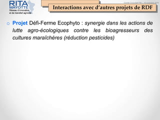 Comité Consultatif PEI – 18 novembre 2016
Interactions avec d’autres projets de RDF
o Projet Défi-Ferme Ecophyto : synergie dans les actions de
lutte agro-écologiques contre les bioagresseurs des
cultures maraîchères (réduction pesticides)