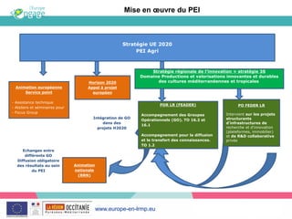 www.europe-en-lrmp.eu
Intégration de GO
dans des
projets H2020
Echanges entre
différents GO
Diffusion obligatoire
des résultats au sein
du PEI
Animation européenne
Service point
- Assistance technique
- Ateliers et séminaires pour
- Focus Group
Horizon 2020
Appel à projet
européen
PO FEDER LR
Intervient sur les projets
structurants
d'infrastructures de
recherche et d'innovation
(plateformes, immobilier)
et de R&D collaborative
privée
PDR LR (FEADER)
Accompagnement des Groupes
Opérationnels (GO). TO 16.2 et
16.1
Accompagnement pour la diffusion
et le transfert des connaissances.
TO 1.2
Stratégie régionale de l’innovation = stratégie 3S
Domaine Productions et valorisations innovantes et durables
des cultures méditerranéennes et tropicales
Stratégie UE 2020
PEI Agri
Mise en œuvre du PEI
Animation
nationale
(RRN)
