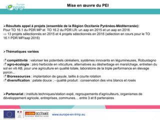 www.europe-en-lrmp.eu
Résultats appel à projets (ensemble de la Région Occitanie Pyrénées-Méditerranée):
Pour TO 16.1 du PDR MP et TO 16.2 du PDR LR: un aap en 2015 et un aap en 2016
13 projets sélectionnés en 2015 et 4 projets sélectionnés en 2016 (sélection en cours pour le TO
16.1 PDR MP/aap 2016)
Thématiques variées
compétitivité : valoriser les potentiels céréaliers, systèmes innovants en légumineuses, Robustagno
agro-écologie : zéro herbicide en viticulture, alternatives au désherbage en maraîchage, entretien du
sol en viti AB, pour une agriculture en qualité totale, laboratoire de la triple performance en élevage
porcin...
Bioressources : implantation de gayule, taillis à courte rotation
diversification : patate douce ; - qualité produit : conservation des vins blancs et rosés
Partenariat : instituts techniques/station expé, regroupements d'agriculteurs, organismes de
développement agricole, entreprises, communes… entre 3 et 8 partenaires
Mise en œuvre du PEI